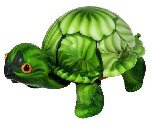 Zibo Art Glass | Turtle Angonora
