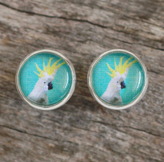 Cockatoo Studs